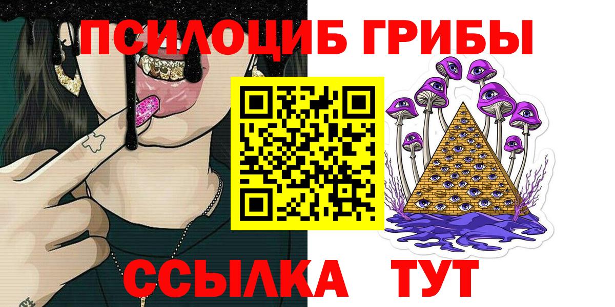 Псилоцибиновые грибы Cubensis  Вход с VPN  Котельники 